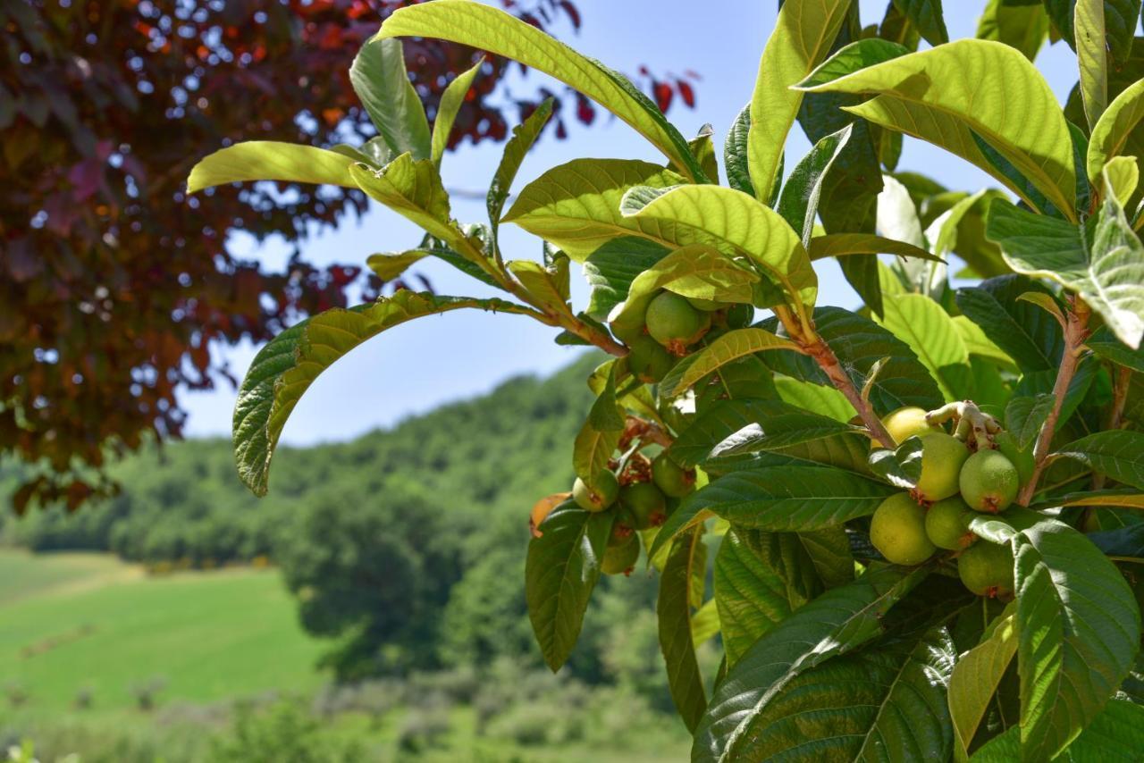 B&B Villa Passero Torricella Sicura ภายนอก รูปภาพ